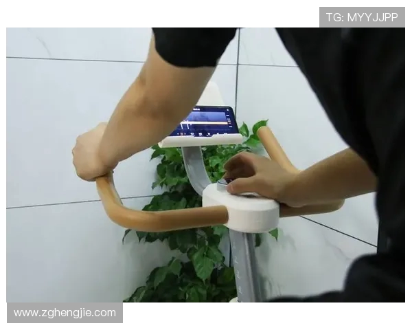 高效燃脂：探索最佳健身器材助你快速减肥